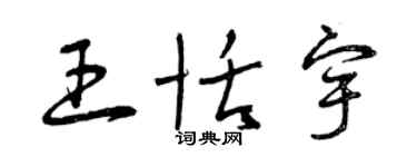 曾庆福王恬宇草书个性签名怎么写
