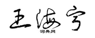 曾庆福王海宁草书个性签名怎么写