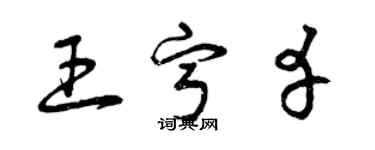 曾庆福王宁幸草书个性签名怎么写