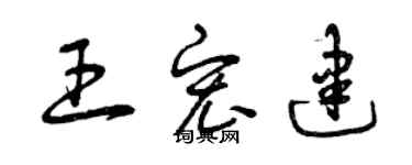 曾庆福王宏建草书个性签名怎么写