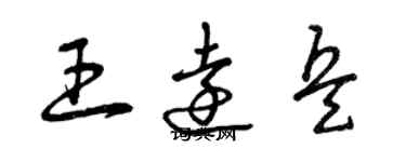 曾庆福王远兵草书个性签名怎么写