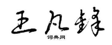 曾庆福王凡锋草书个性签名怎么写