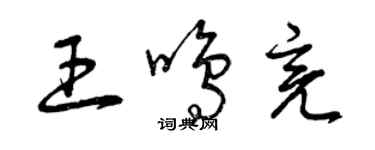 曾庆福王鸣亮草书个性签名怎么写