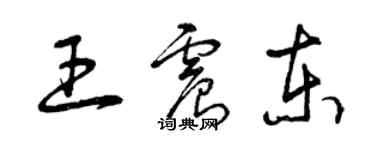 曾庆福王震东草书个性签名怎么写