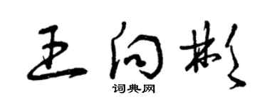 曾庆福王向彬草书个性签名怎么写