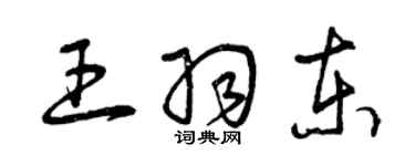 曾庆福王羽东草书个性签名怎么写