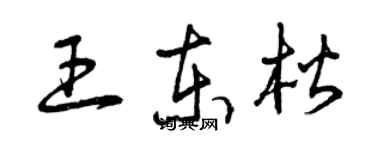 曾庆福王东楷草书个性签名怎么写