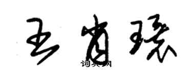 朱锡荣王肖环草书个性签名怎么写