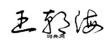 曾庆福王朝海草书个性签名怎么写