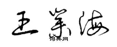 曾庆福王业海草书个性签名怎么写