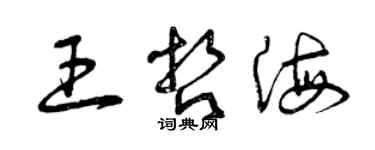 曾庆福王哲海草书个性签名怎么写