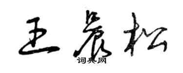 曾庆福王晨松草书个性签名怎么写