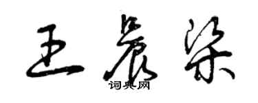 曾庆福王晨梁草书个性签名怎么写