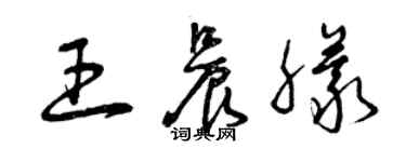 曾庆福王晨朦草书个性签名怎么写