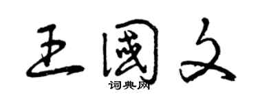 曾庆福王国文草书个性签名怎么写
