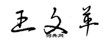 曾庆福王文革草书个性签名怎么写