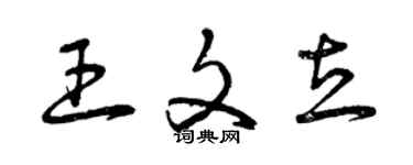 曾庆福王文立草书个性签名怎么写