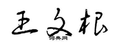 曾庆福王文根草书个性签名怎么写