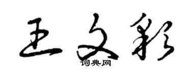 曾庆福王文彩草书个性签名怎么写