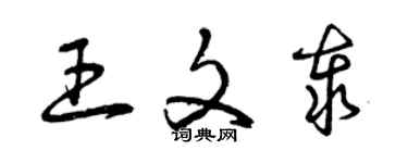 曾庆福王文泰草书个性签名怎么写