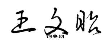 曾庆福王文昭草书个性签名怎么写