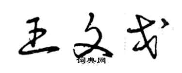 曾庆福王文戈草书个性签名怎么写