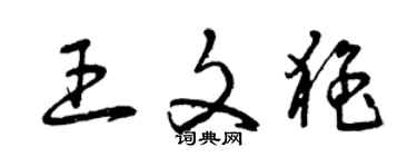 曾庆福王文猛草书个性签名怎么写
