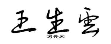 曾庆福王生云草书个性签名怎么写