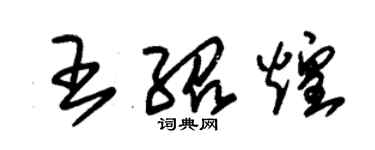 朱锡荣王绍煌草书个性签名怎么写