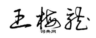 曾庆福王梅龙草书个性签名怎么写