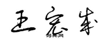 曾庆福王宏成草书个性签名怎么写