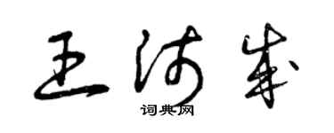 曾庆福王沛成草书个性签名怎么写