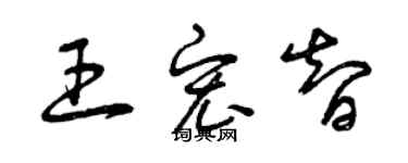 曾庆福王宏智草书个性签名怎么写