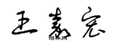 曾庆福王嘉宏草书个性签名怎么写