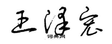 曾庆福王泽宏草书个性签名怎么写