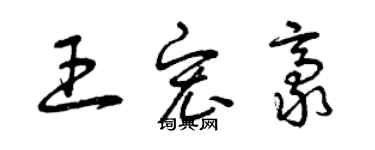 曾庆福王宏豪草书个性签名怎么写