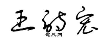曾庆福王诗宏草书个性签名怎么写