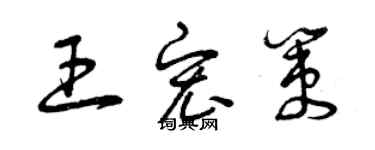曾庆福王宏策草书个性签名怎么写