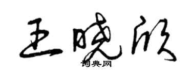 曾庆福王晓欣草书个性签名怎么写