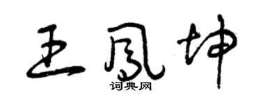 曾庆福王凤坤草书个性签名怎么写