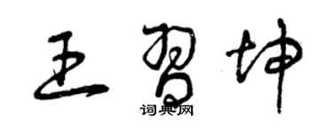 曾庆福王习坤草书个性签名怎么写