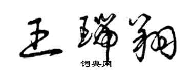 曾庆福王瑞翔草书个性签名怎么写