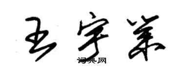 朱锡荣王宇业草书个性签名怎么写