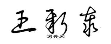 曾庆福王新泰草书个性签名怎么写