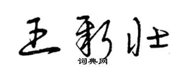 曾庆福王新壮草书个性签名怎么写