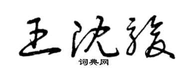 曾庆福王沈骏草书个性签名怎么写