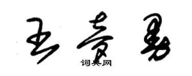 朱锡荣王梦曼草书个性签名怎么写