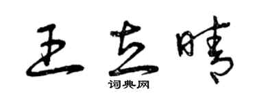 曾庆福王立晴草书个性签名怎么写