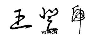 曾庆福王登虎草书个性签名怎么写
