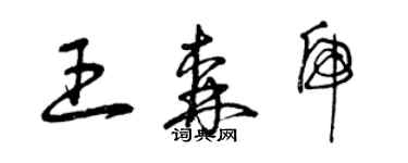 曾庆福王森虎草书个性签名怎么写